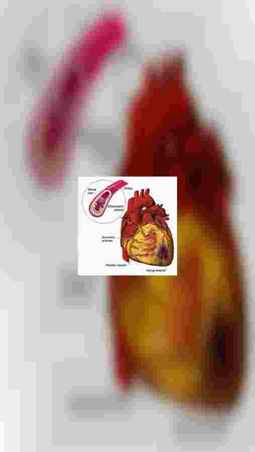 mobile.jpeg